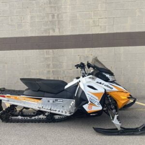 Renegade® Sport Cobra 1.25 Rotax® 600 ACE REV-XS
